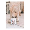 Dog's Love Dog de Pescado Grain Free - Comida Húmeda para Perro