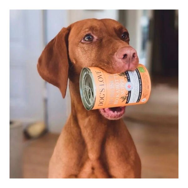 Dog's Love Dog Sopa Bio de Zanahoria - Comida Húmeda para Perro