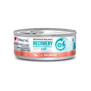 Disugual Diet Cat Recovery de Salmón - Comida Húmeda para Gato