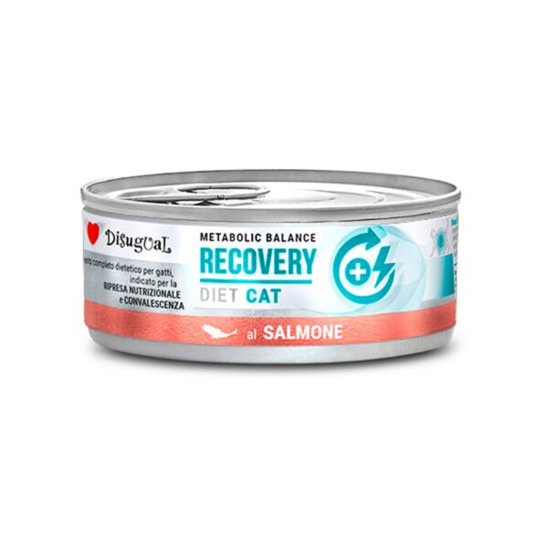 Disugual Diet Cat Recovery de Salmón - Comida Húmeda para Gato