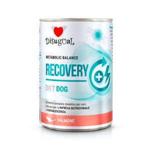 Disugual Diet Dog Recovery Salmón – Comida Húmeda para Perro