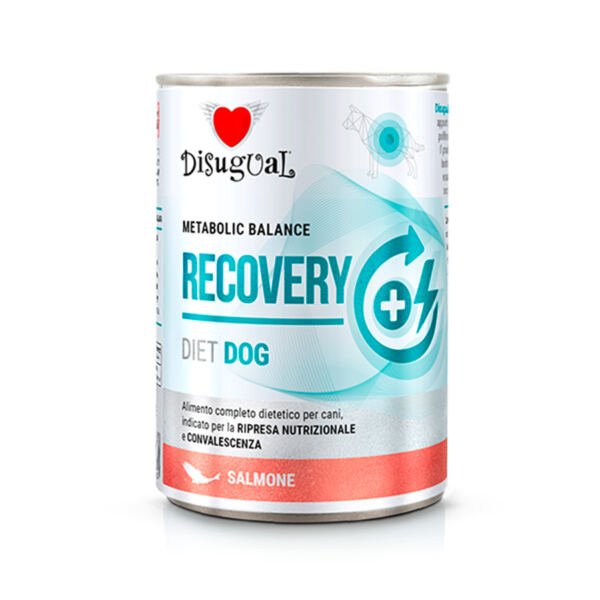 Disugual Diet Dog Recovery Salmón – Comida Húmeda para Perro