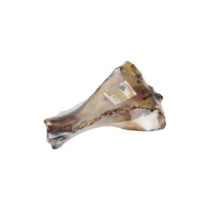 8712695157793 Beeztees Hueso de Paleta de Ternera - Snack para Perro