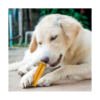 Churpi Barrita Natural Coconut Himalaya Leche de Yak - Snack para Perros