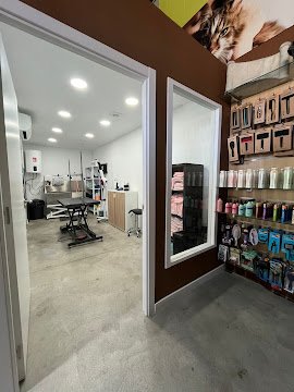 Instalaciones de Cardedeu