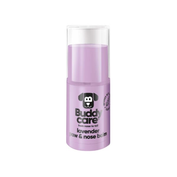 5056512469021_Buddycare Nose & Paw Balm_Lavender 21g Buddy Care Bálsamo de Lavanda para Patas y Nariz - Higiene para Perro