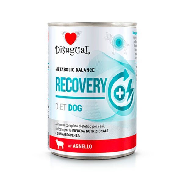 Disugual Diet Recovery Cordero - Comida Húmeda para Perro