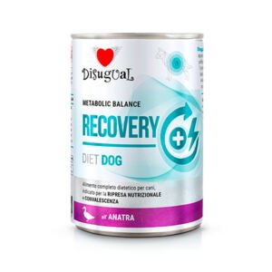Disugual Diet Recovery Pato - Comida Húmeda para Perro