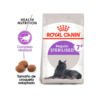 3182550784580_1 Royal Canin Adult 7+ Regular Sterilised - Pienso para Gato