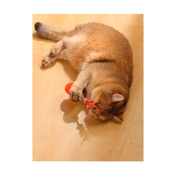 6953182748311_2 M-Pets Charmy Amulet con Matatabi - Juguete para Gato