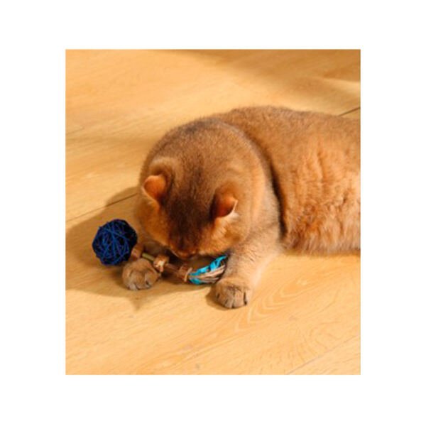 6953182748328_2 M-Pets Charmy Amulet con Matatabi - Juguete para Gato