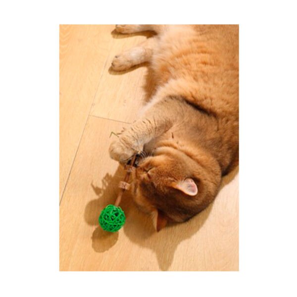 6953182748335_2 M-Pets Charmy Amulet con Matatabi - Juguete para Gato