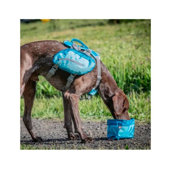 813146015490_3 Kurgo Zippy Bowl para Alimento Seco – Accesorio para Perro