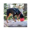 813146015599_3 Kurgo Zippy Bowl para Alimento Seco – Accesorio para Perro