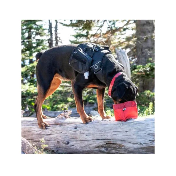 813146015599_3 Kurgo Zippy Bowl para Alimento Seco – Accesorio para Perro