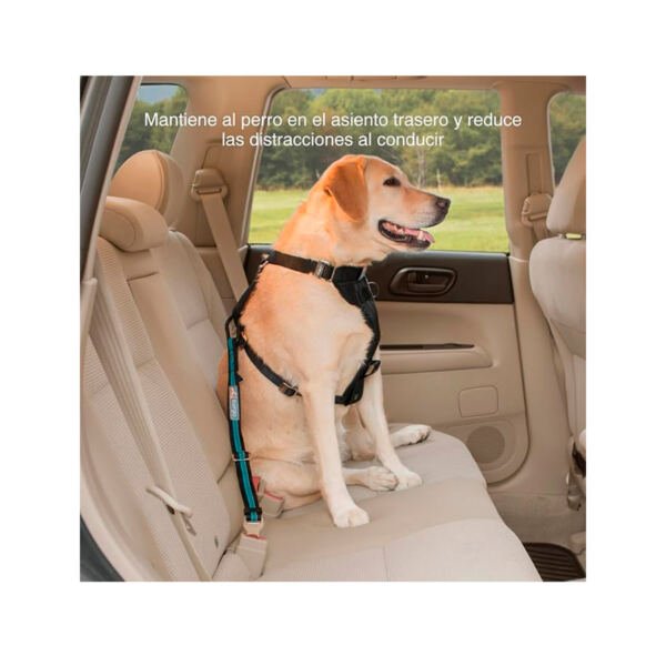 Kurgo Adaptador Cinturón Coche- Accesorio para Perro