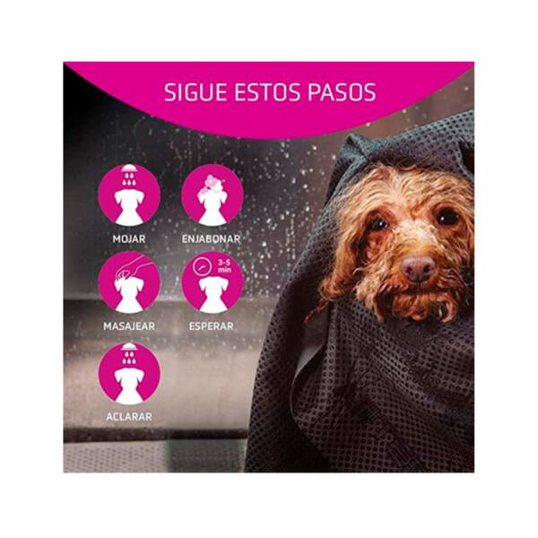 8435037100010_3 Artero Champú Vitalizante - Higiene para Perro y Gato