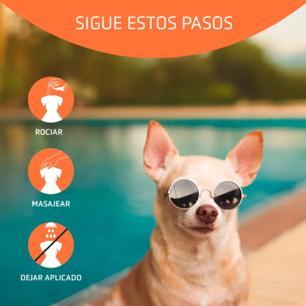 8435037104780_2 Artero Block Protector Solar - Higiene para Perro