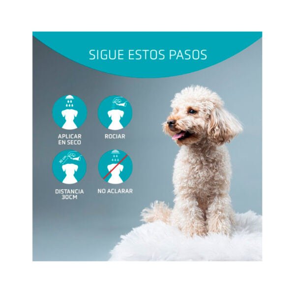 Artero Static Voluminizador – Higiene para Perro y Gato