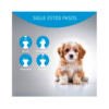 Artero Baby Champú – Higiene para Perro y Gato