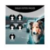 Artero Champú Detox - Higiene para Perro y Gato