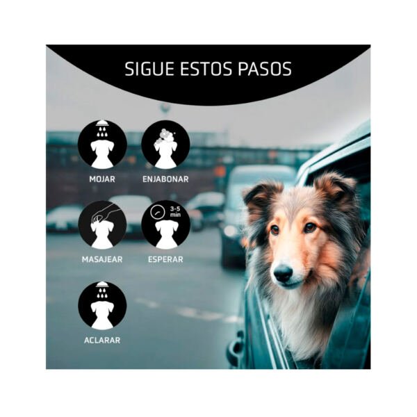 Artero Champú Detox - Higiene para Perro y Gato
