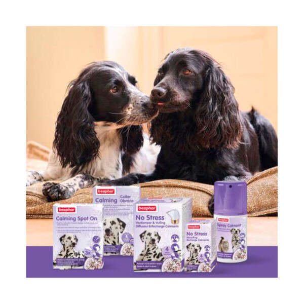 Beaphar Calming Spray Ambiente - Higiene para Perro y Gato