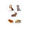 Beaphar Lactol Kit - Complemento para Perrito, Gatito y Otros Animales