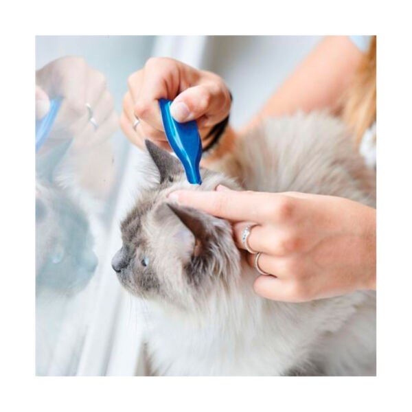 8711231122523_3 Beaphar CatComfort Pipetas Calming Spot-On - Salud para Gato