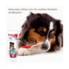 8711231156849_3 Beaphar Pasta Dentífrica - Higiene para Perro y Gato