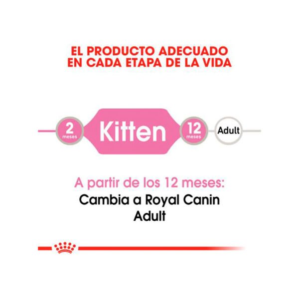 9003579308943_1 Royal Canin Kitten Sobre en Salsa - Comida Húmeda para Gatito