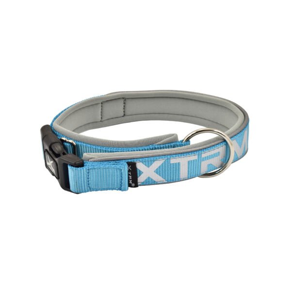 collar azul X-Trm Collar Flash Neon - Accesorio para Perro