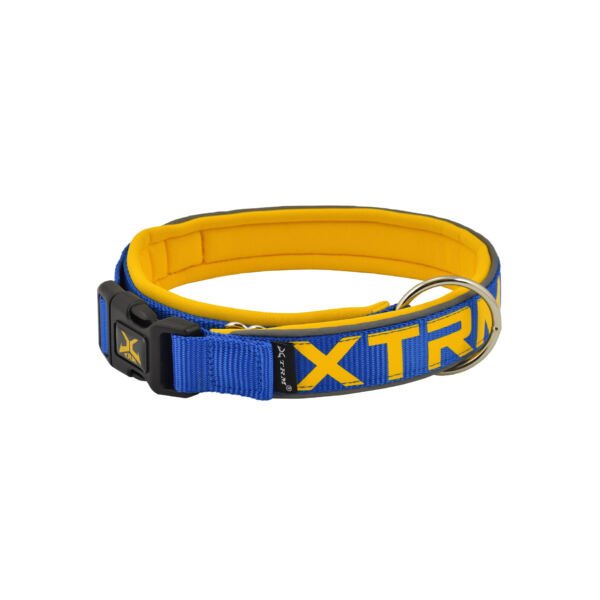 collar cobalto X-Trm Collar Flash Neon - Accesorio para Perro