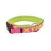 collar fucsia X-Trm Collar Flash Neon - Accesorio para Perro