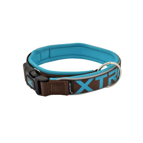 collar marrón X-Trm Collar Flash Neon - Accesorio para Perro