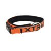 collar naranja X-Trm Collar Flash Neon - Accesorio para Perro