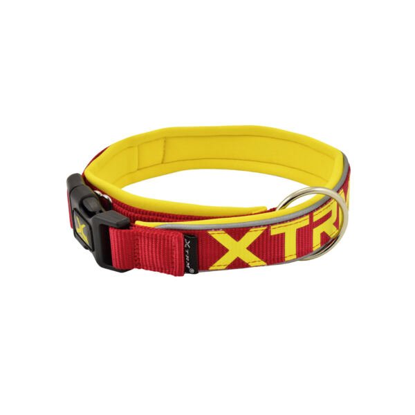 collar rojo X-Trm Collar Flash Neon - Accesorio para Perro