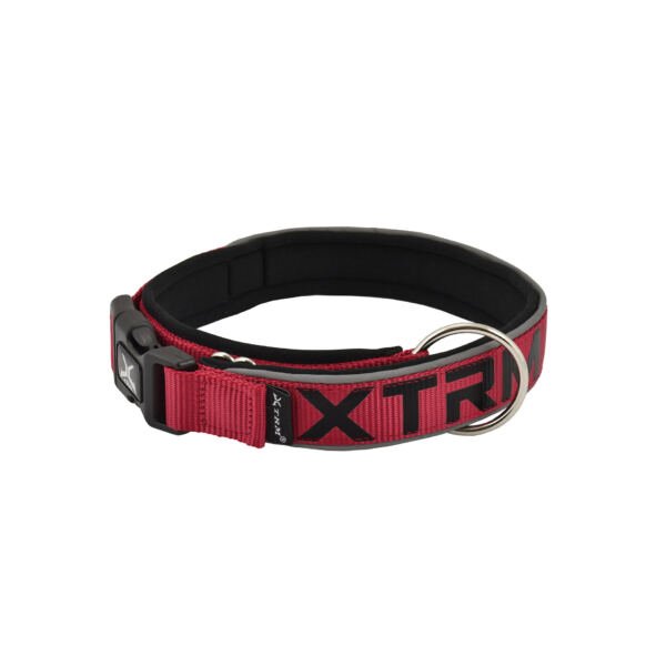 collar rojo-negro X-Trm Collar Flash Neon - Accesorio para Perro