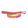 correa fucsia X-Trm Correa Flash Neón - Accesorio para Perro