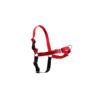 Easy Walk Arnés Anti-Tirones - Accesorio para Perro