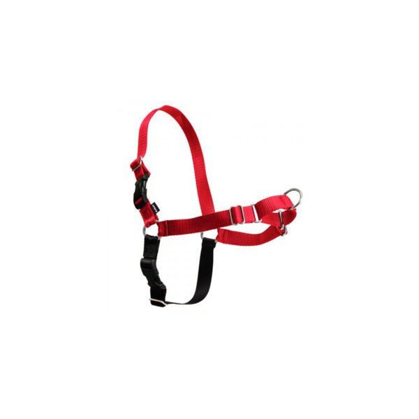 Easy Walk Arnés Anti-Tirones - Accesorio para Perro