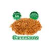 Arquivet Gammarus - Alimento para Tortugas de Agua