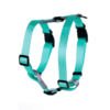 M-Pets Gentle Dog Arnés - Accesorio para Perro