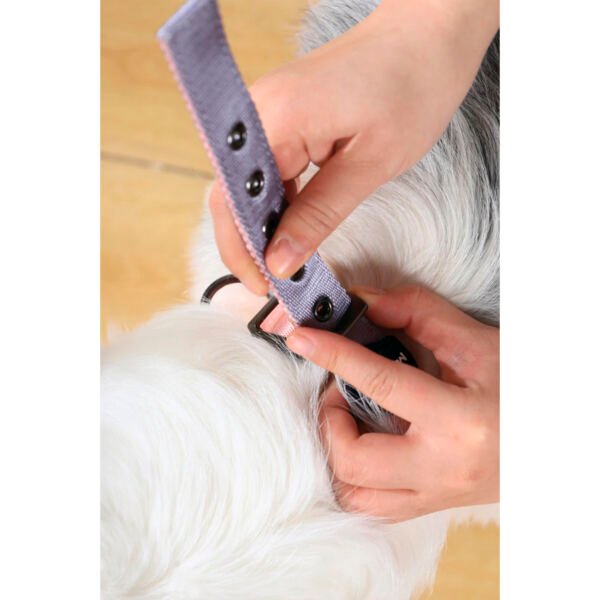 urban gentle dog collar ACOLCHADO perro_foto con perro_2 M-Pets Gentle Dog Collar Acolchado - Accesorio para Perro