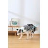 M-Pets Gentle Dog Collar - Accesorio para Perro