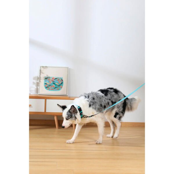 M-Pets Gentle Dog Collar - Accesorio para Perro