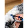 M-Pets Gentle Dog Correa - Accesorio para Perro
