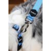 M-Pets Gentle Dog Correa - Accesorio para Perro