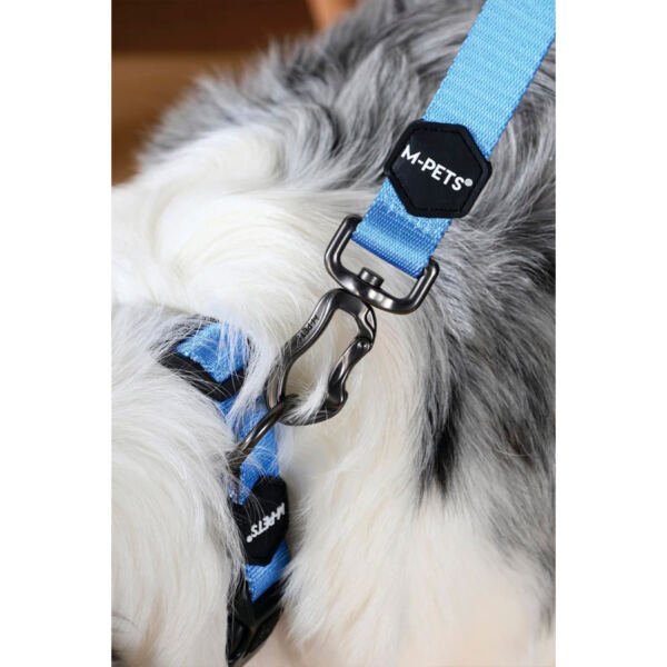 M-Pets Gentle Dog Correa - Accesorio para Perro