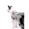 M-Pets Gentle Dog Correa - Accesorio para Perro